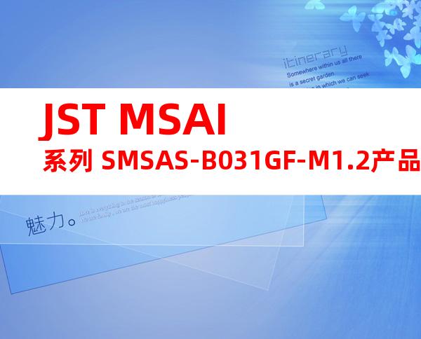 JST MSAI系列 SMSAS-B031GF-M1.2产品图纸